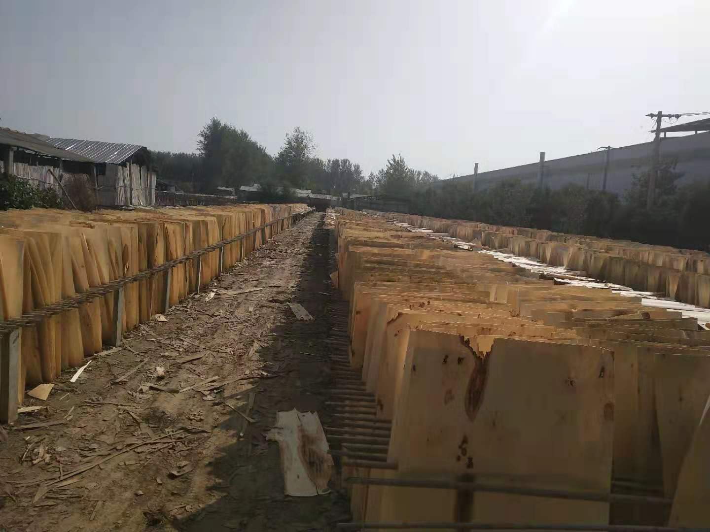  ��Ԕ��(x��)��B