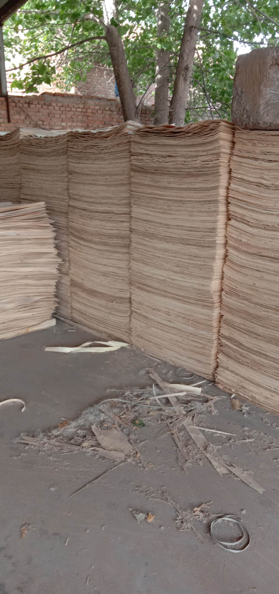  ��Ԕ����B