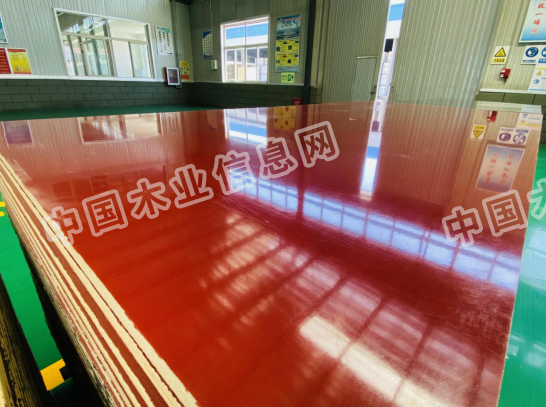  ��Ԕ����B