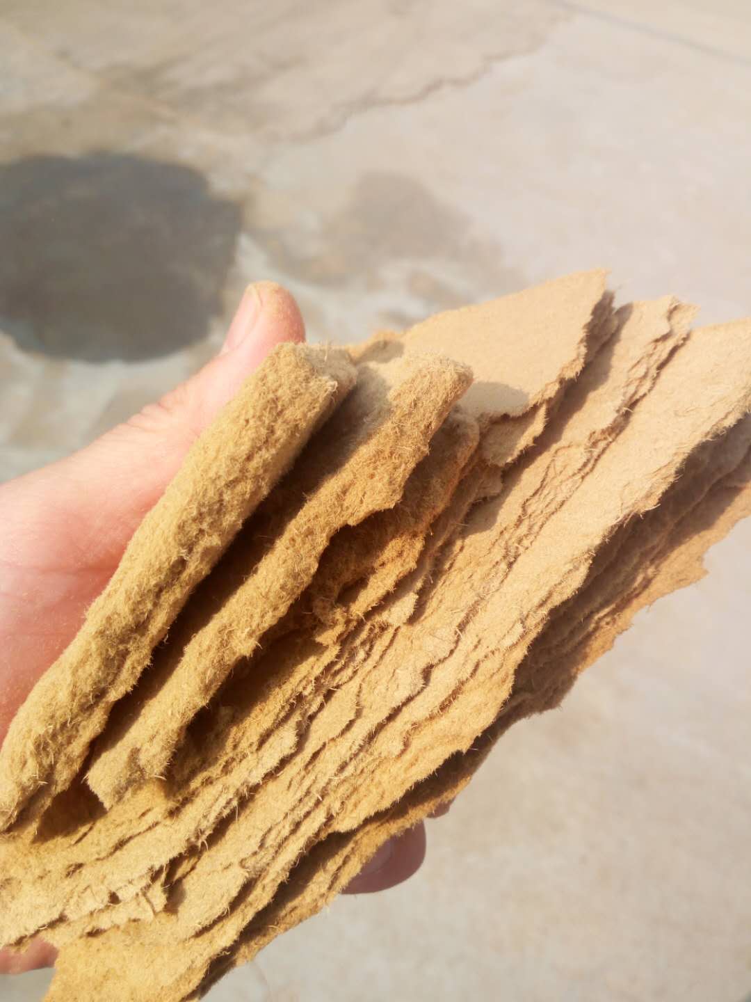 ����ľ��Ԕ����B