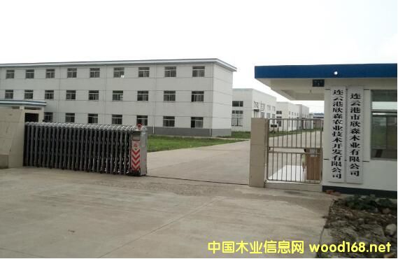 �B�Ƹ���ɭľ�I(y��)̓�����(b��o)�����Y��3000�f ���˺͸����p�p��z