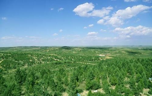 �������֘I��2020���������M������c����