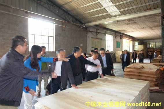 �R�����mɽ�^�����Ї�10��ľ�I�a�I��Ⱥ