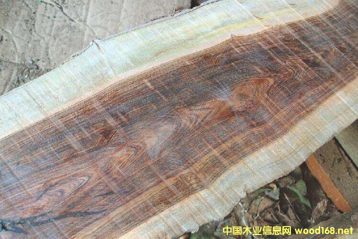 Ƥ�Ұ���Ј����𱬡� ���̼�������F���������