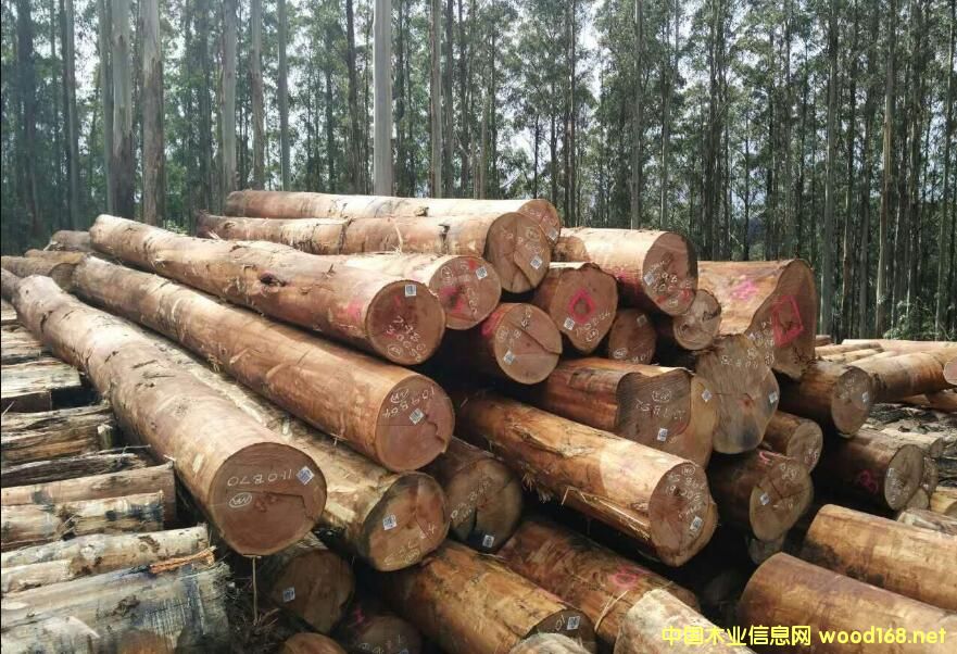 ̫�}�۰���M����څ�� �M�ڰĴ�����ԭľ�q���_��������λ