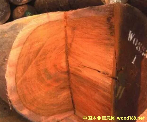 ����A�P���r(ji��)���µ�