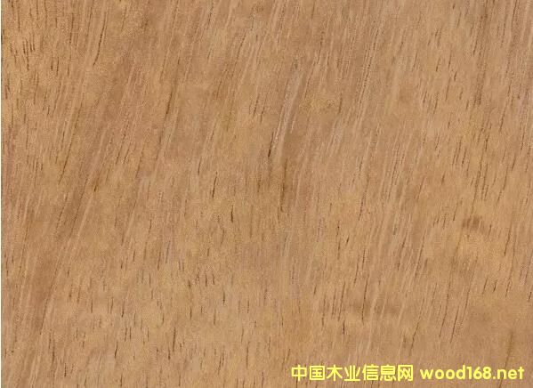 ��G��ɣľ�ļy��