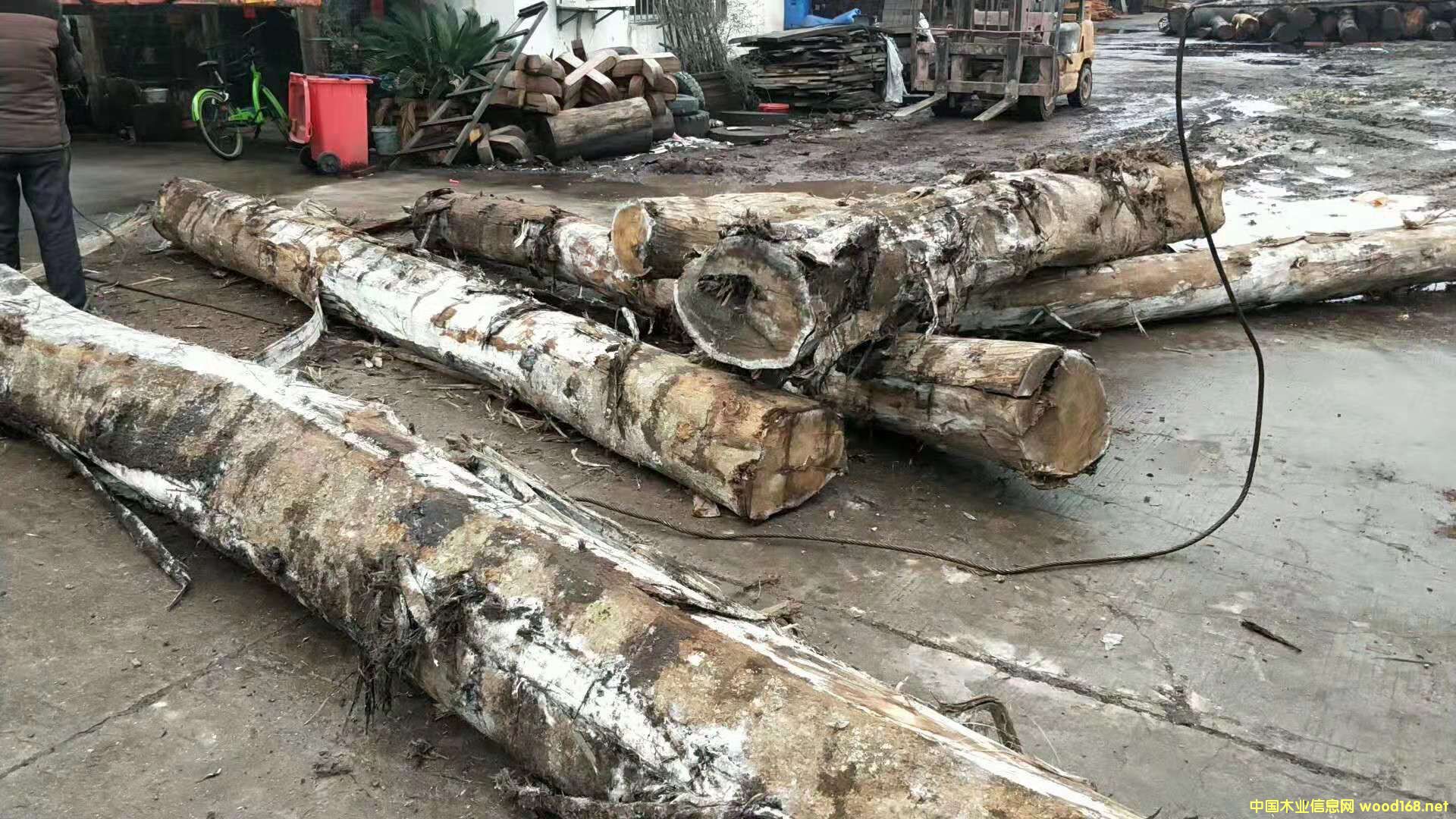 ���ڴ��~��˼ԭľ2��Ԕ����B