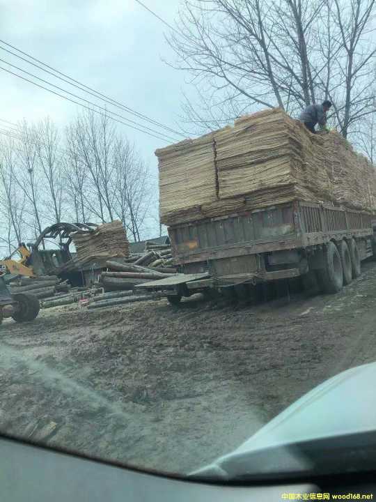 ��ľƤ