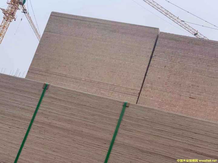  ��Ԕ����B