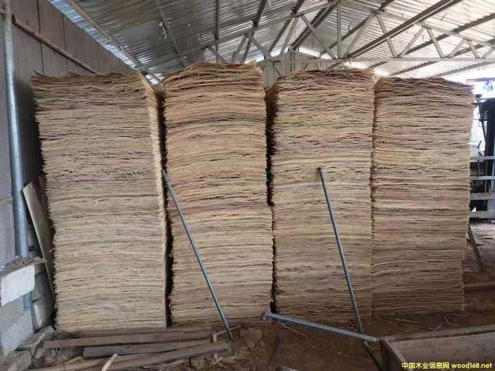 ���Ԕ����B