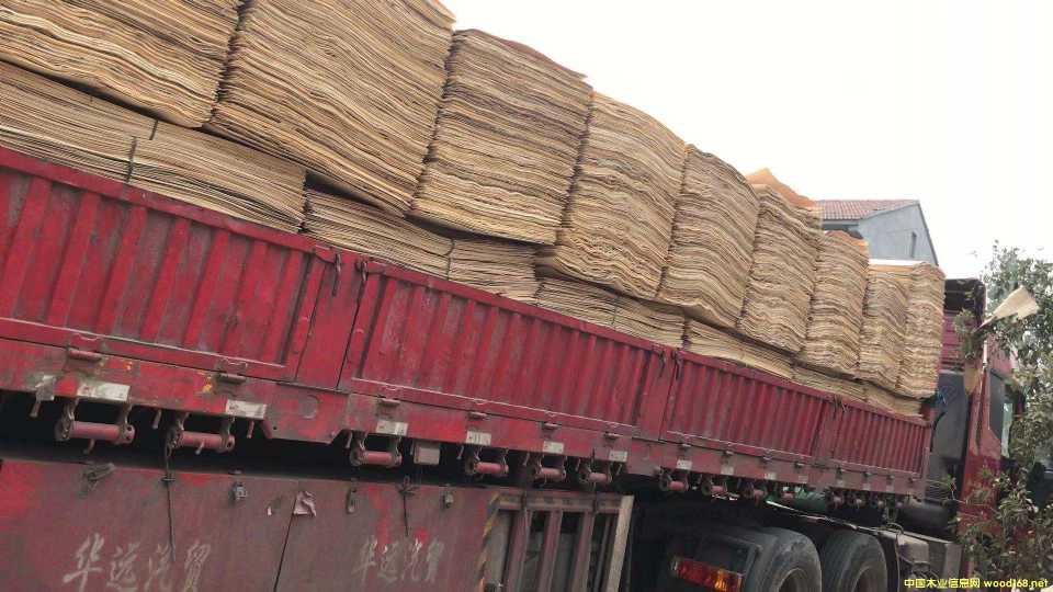 ���Ԕ����B