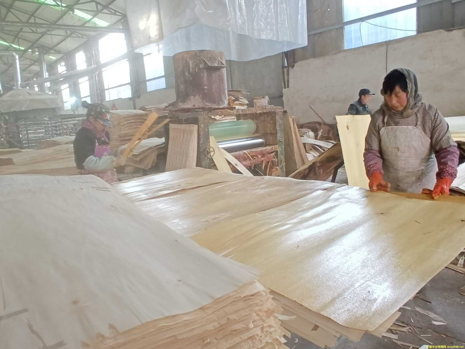  ��Ԕ����B