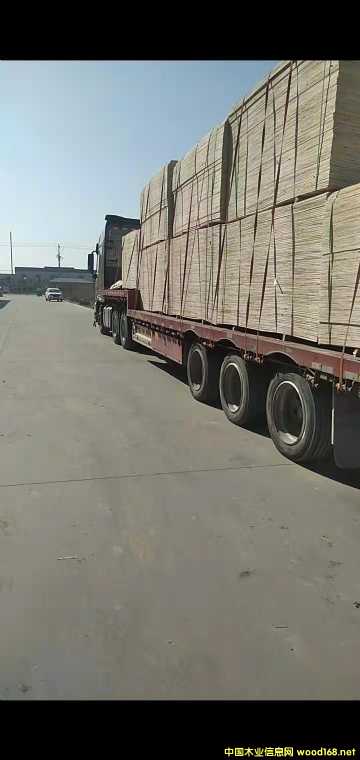  ��Ԕ����B