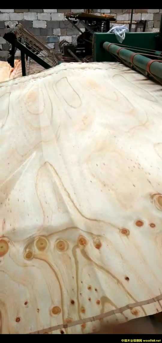  ��Ԕ��(x��)��B