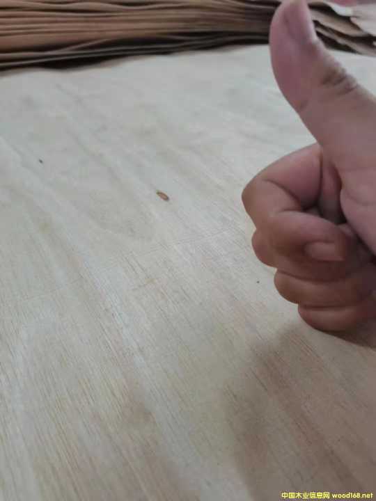  �M�����zľ���Іΰ��Ԕ����B