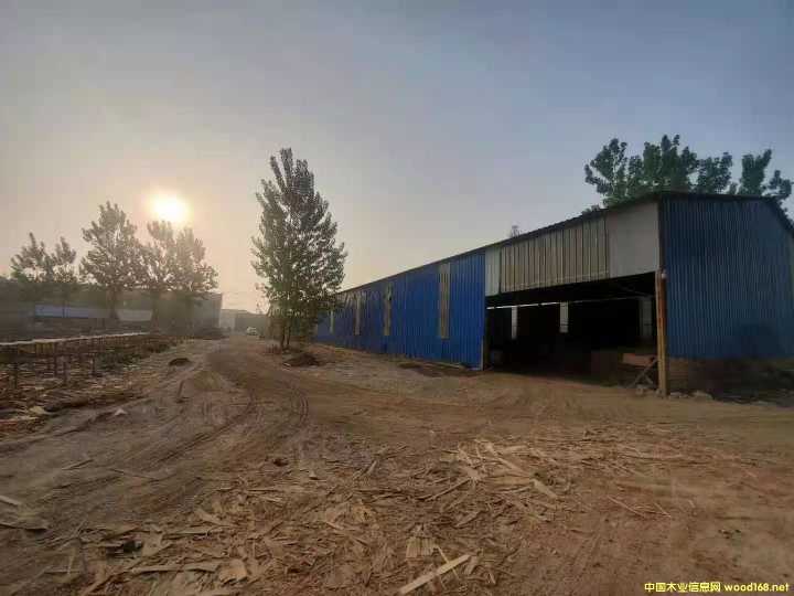  ��Ԕ����B