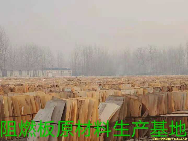  ��Ԕ����B