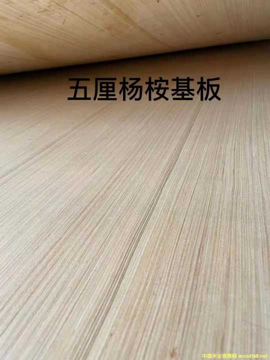  ��Ԕ��(x��)��B