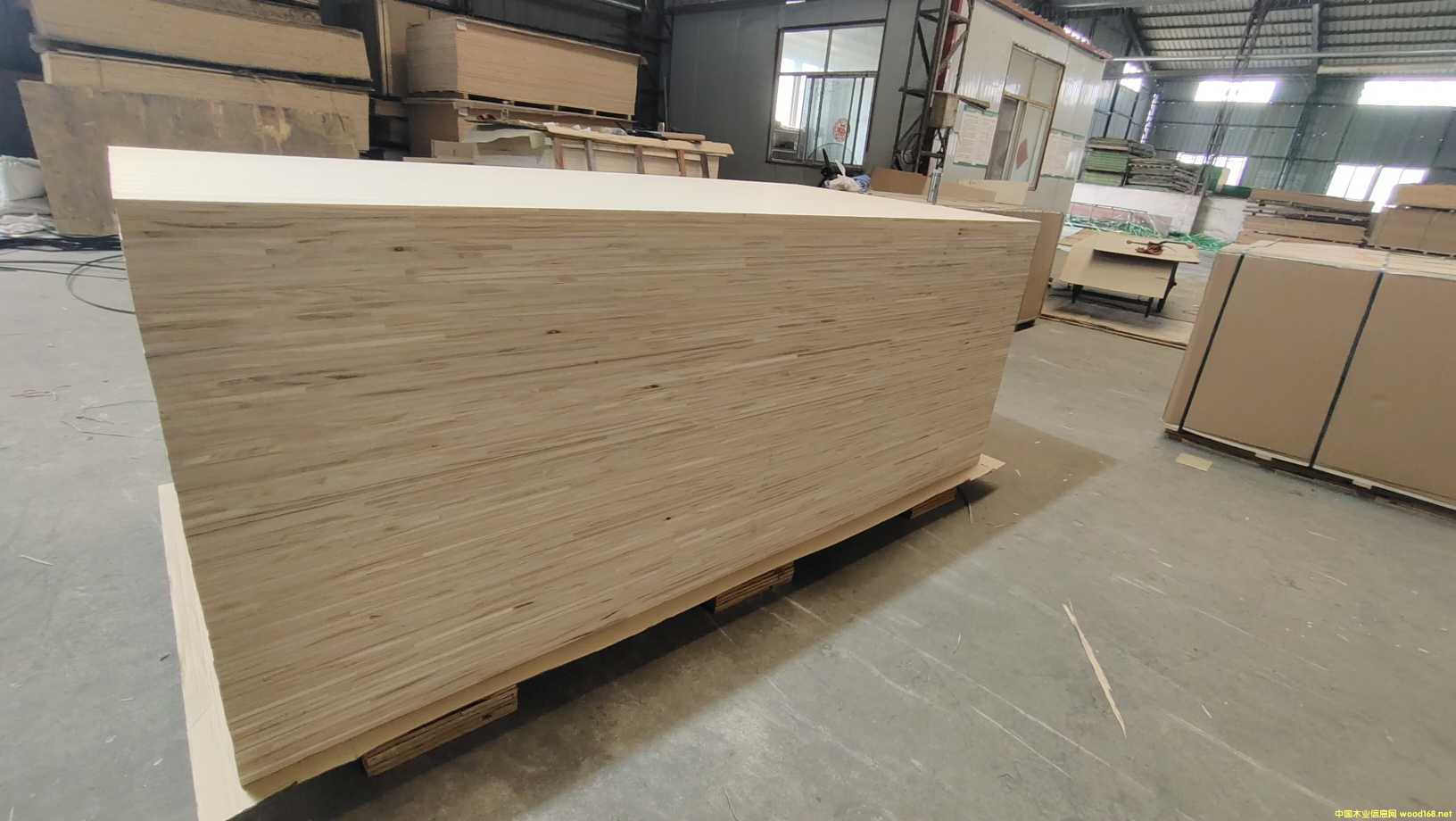 ͩľ��ľ����