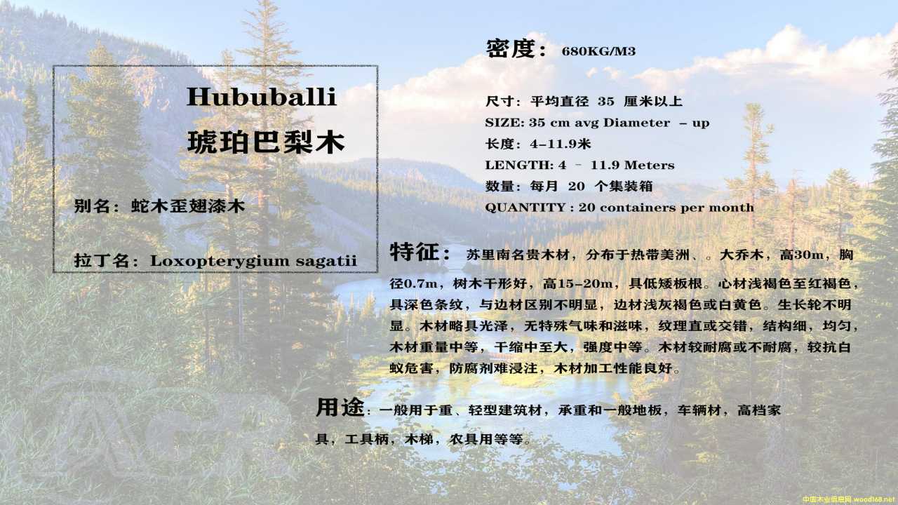 �������ľ��Ԕ����B