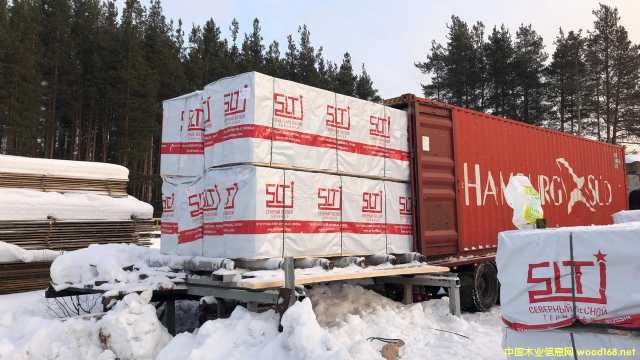 Spruce��Ԕ��(x��)��B