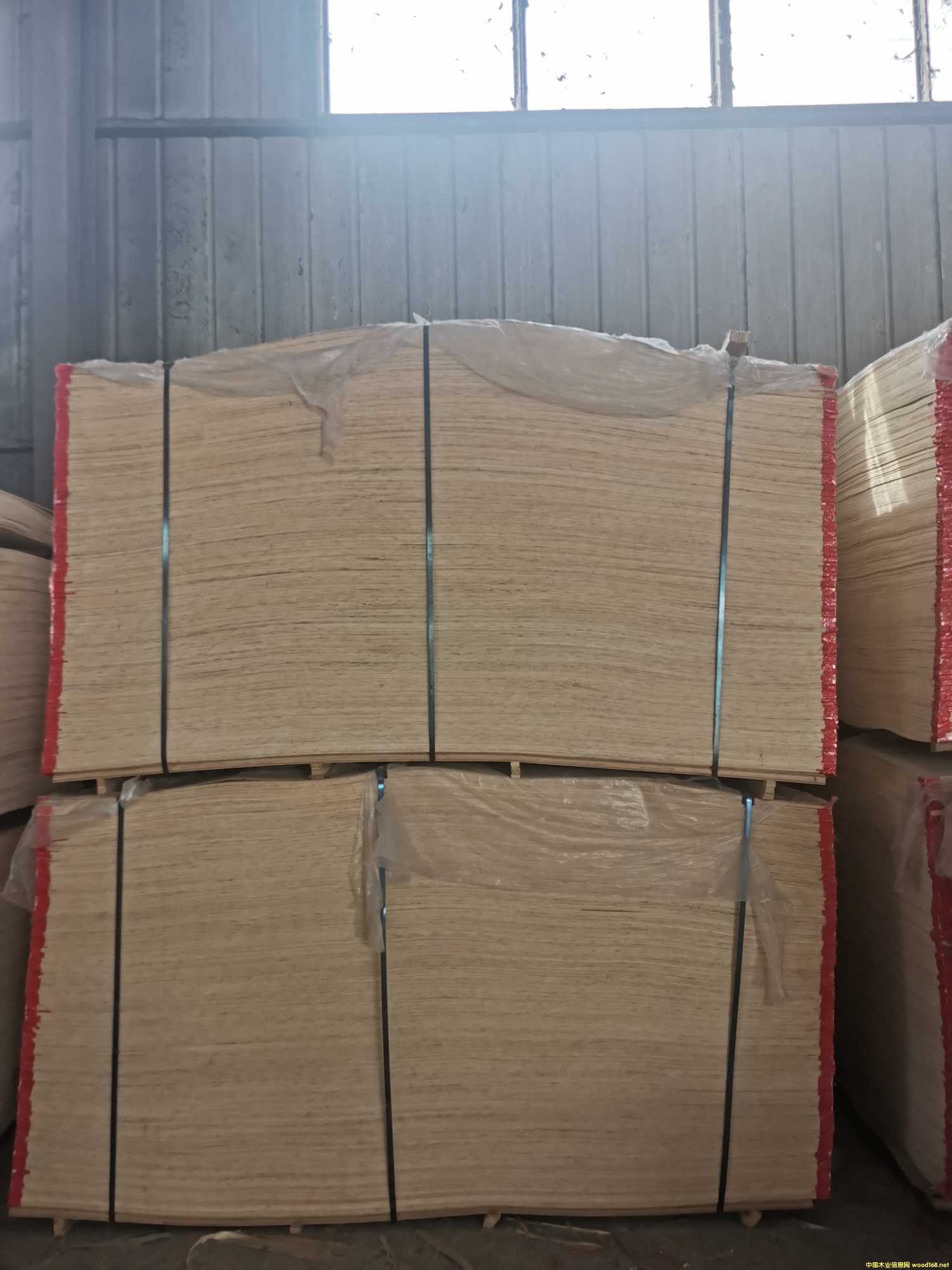 CARBP2 ����� ɳ�l���Ԕ����B