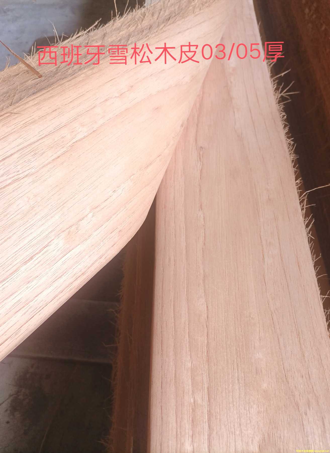 [��] �F؛����������ѩ��/���_/��ɼ/����ľľƤ