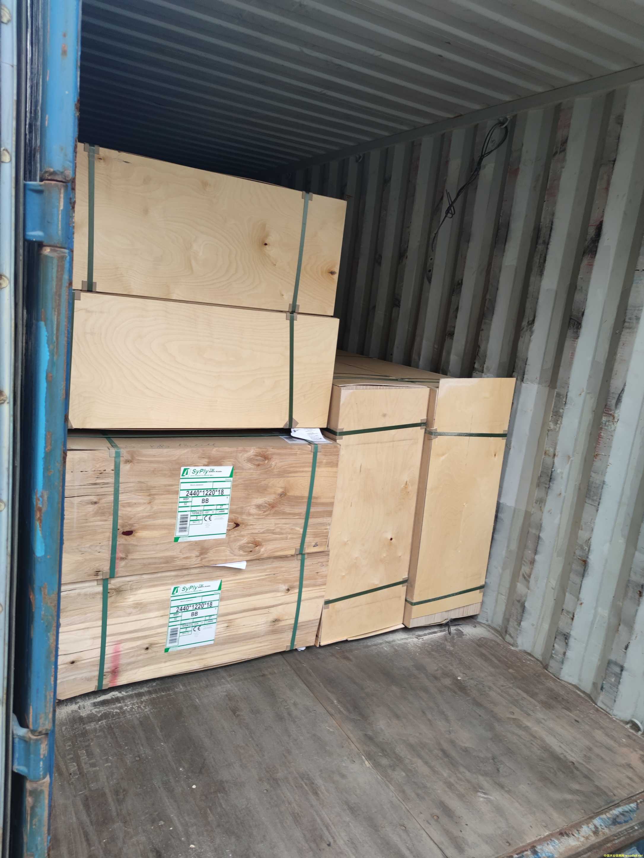 ���_˹�M�ژ�ľ�A�庣���