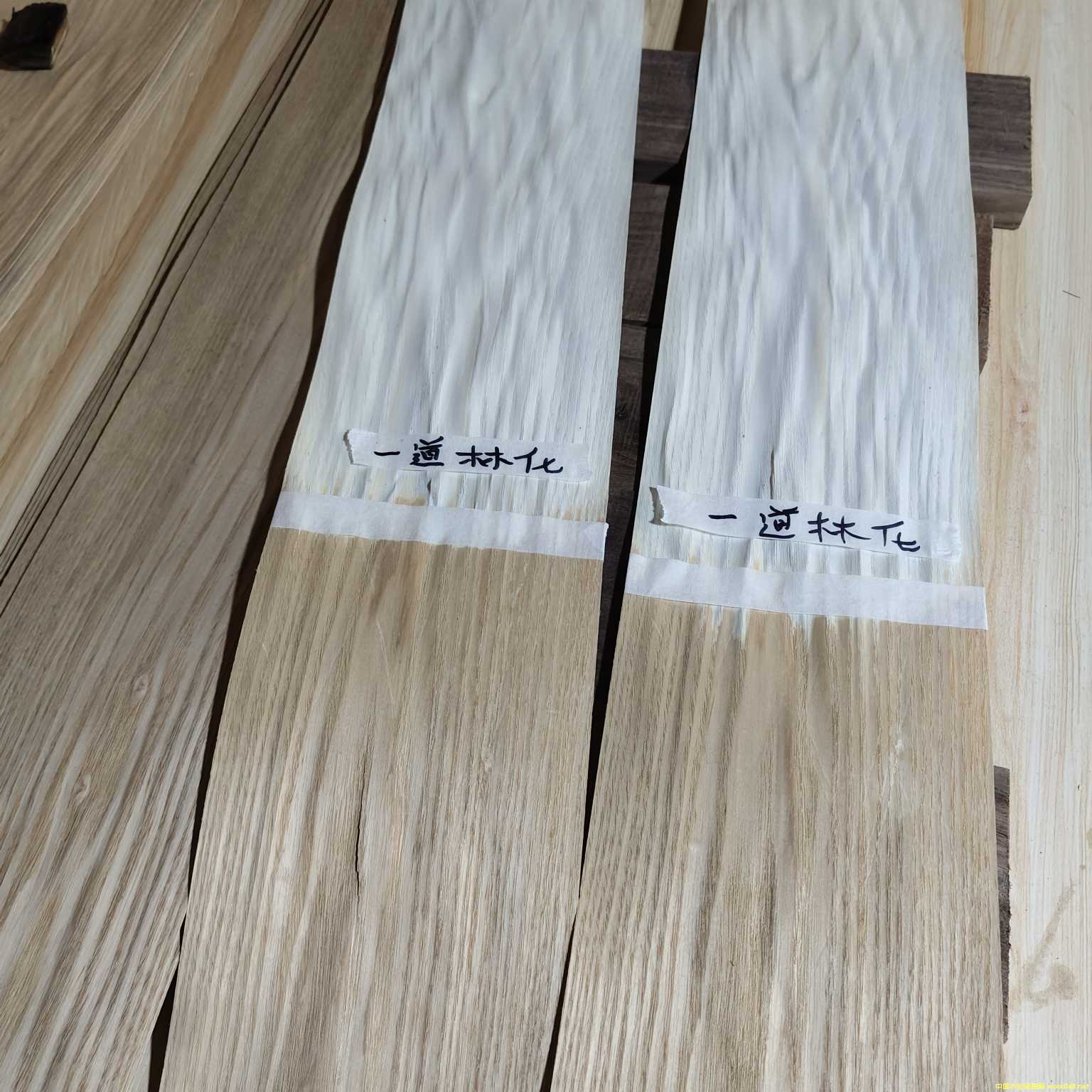 ľ�����N��ľƤƯ�ׄ� ľ��Ư�ׄ�