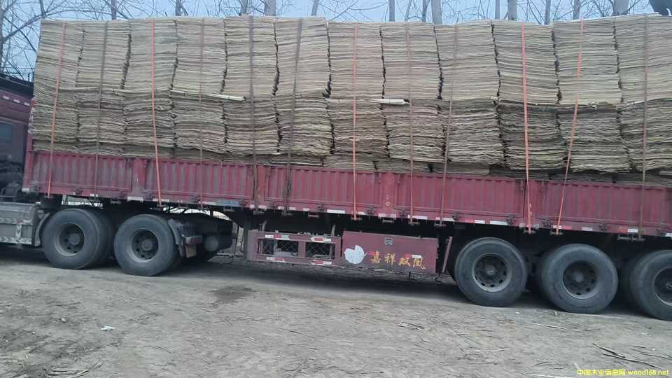  ��Ԕ����B