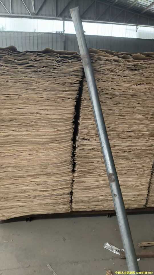  ��Ԕ����B