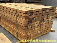 ���޲��}�񡢷���ľ�S�������}��������ľ