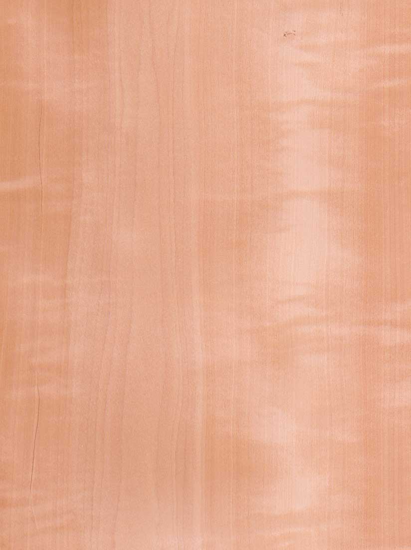 ���N�M��ľƤ��Ԕ����B