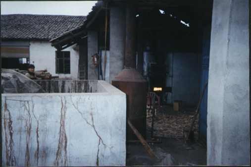 Ó֬��ɵ�Ԕ����B