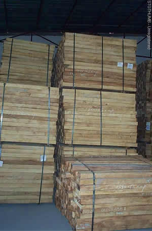 ����կ�M(j��n)�����zľ��Ԕ��(x��)��B