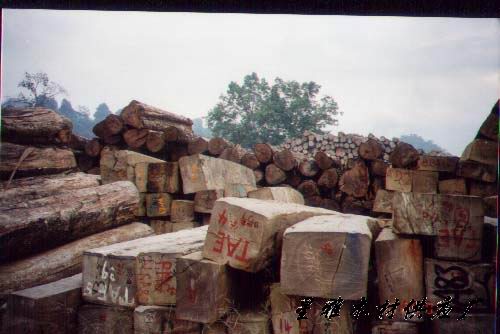 �sľ����Ԕ����B