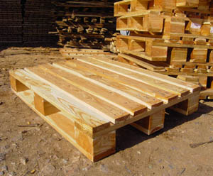 ����ľ�бP��Ԕ����B