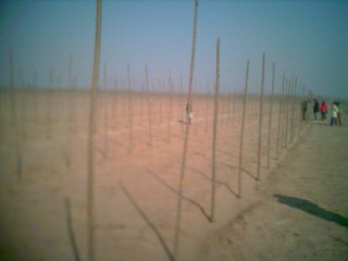 �����S�a�òė���ֵ�Ԕ����B