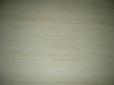 ���۾�������Ԕ����B