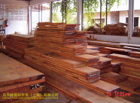 AFRICAN TEAK��Ԕ����B